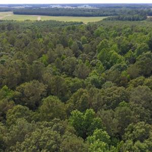 Photo of UNDER CONTRACT!  36.69 Acres of Farm and Timber Land For Sale In Edgecombe County NC!