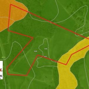 Photo of UNDER CONTRACT!  36.69 Acres of Farm and Timber Land For Sale In Edgecombe County NC!