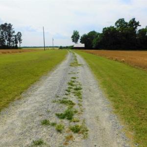 Photo of UNDER CONTRACT!  10.31 Acres of Residential and Farm Land For Sale in Edgecombe County NC!