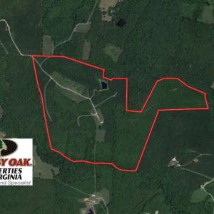 Photo of SOLD!  170 Acres of Recreational Hunting Land For Sale in Charlotte County VA!