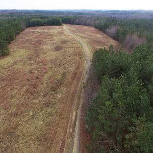 Photo of SOLD!  170 Acres of Recreational Hunting Land For Sale in Charlotte County VA!
