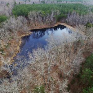 Photo of SOLD!  170 Acres of Recreational Hunting Land For Sale in Charlotte County VA!