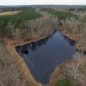 Photo of SOLD!  170 Acres of Recreational Hunting Land For Sale in Charlotte County VA!