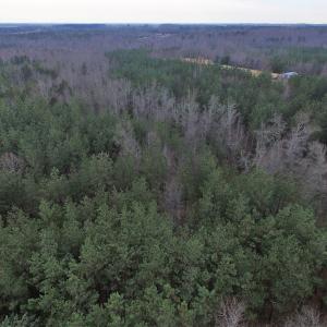 Photo of SOLD!  170 Acres of Recreational Hunting Land For Sale in Charlotte County VA!