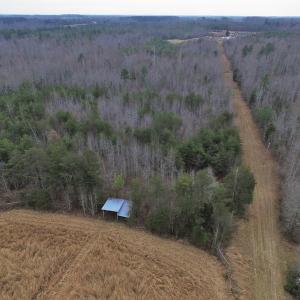 Photo of SOLD!  170 Acres of Recreational Hunting Land For Sale in Charlotte County VA!