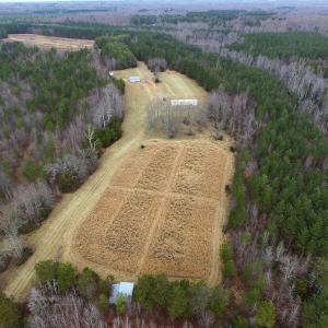 Photo of SOLD!  170 Acres of Recreational Hunting Land For Sale in Charlotte County VA!