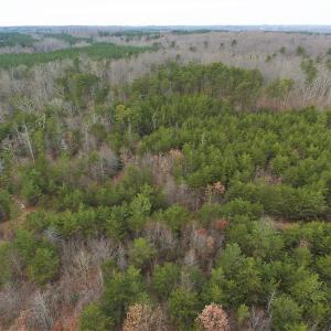 Photo of SOLD!  170 Acres of Recreational Hunting Land For Sale in Charlotte County VA!