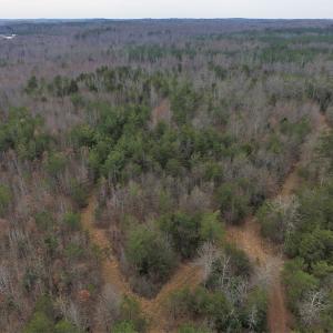Photo of SOLD!  170 Acres of Recreational Hunting Land For Sale in Charlotte County VA!