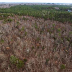 Photo of SOLD!  170 Acres of Recreational Hunting Land For Sale in Charlotte County VA!