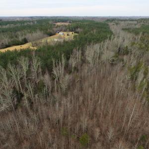Photo of SOLD!  170 Acres of Recreational Hunting Land For Sale in Charlotte County VA!