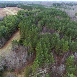 Photo of SOLD!  170 Acres of Recreational Hunting Land For Sale in Charlotte County VA!