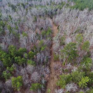 Photo of SOLD!  170 Acres of Recreational Hunting Land For Sale in Charlotte County VA!