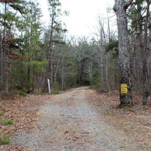 Photo of SOLD!  170 Acres of Recreational Hunting Land For Sale in Charlotte County VA!