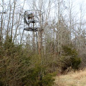 Photo of SOLD!  170 Acres of Recreational Hunting Land For Sale in Charlotte County VA!