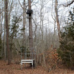 Photo of SOLD!  170 Acres of Recreational Hunting Land For Sale in Charlotte County VA!