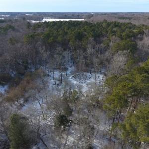 Photo of UNDER CONTRACT!  25.25 Acres of Creek Front Hunting Land For Sale in Edgecombe County NC!