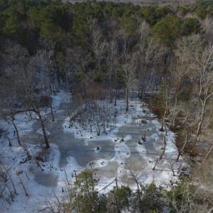 Photo of UNDER CONTRACT!  25.25 Acres of Creek Front Hunting Land For Sale in Edgecombe County NC!