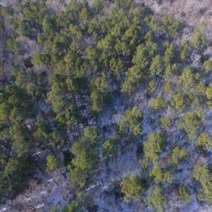 Photo of UNDER CONTRACT!  25.25 Acres of Creek Front Hunting Land For Sale in Edgecombe County NC!