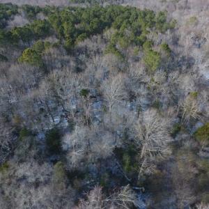Photo of UNDER CONTRACT!  25.25 Acres of Creek Front Hunting Land For Sale in Edgecombe County NC!