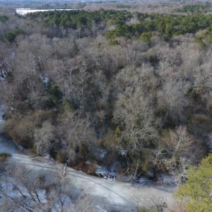 Photo of UNDER CONTRACT!  25.25 Acres of Creek Front Hunting Land For Sale in Edgecombe County NC!