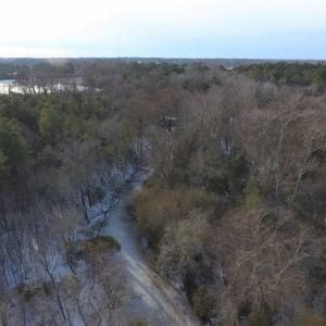 Photo of UNDER CONTRACT!  25.25 Acres of Creek Front Hunting Land For Sale in Edgecombe County NC!