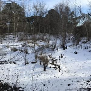Photo of UNDER CONTRACT!  25.25 Acres of Creek Front Hunting Land For Sale in Edgecombe County NC!