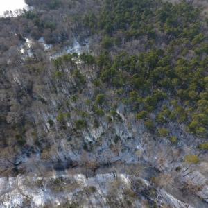 Photo of UNDER CONTRACT!  25.25 Acres of Creek Front Hunting Land For Sale in Edgecombe County NC!