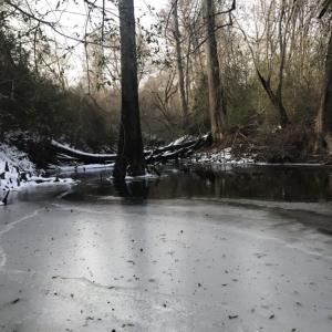 Photo of UNDER CONTRACT!  25.25 Acres of Creek Front Hunting Land For Sale in Edgecombe County NC!