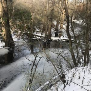 Photo of UNDER CONTRACT!  25.25 Acres of Creek Front Hunting Land For Sale in Edgecombe County NC!