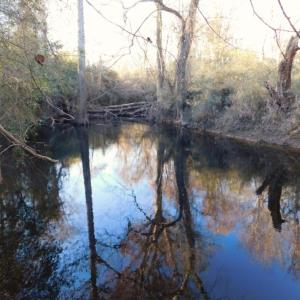 Photo of UNDER CONTRACT!  25.25 Acres of Creek Front Hunting Land For Sale in Edgecombe County NC!