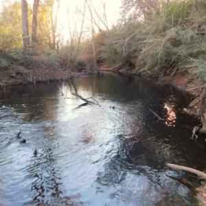 Photo of UNDER CONTRACT!  25.25 Acres of Creek Front Hunting Land For Sale in Edgecombe County NC!