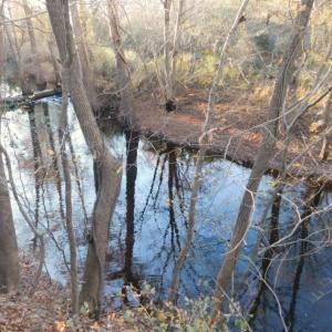 Photo of UNDER CONTRACT!  25.25 Acres of Creek Front Hunting Land For Sale in Edgecombe County NC!