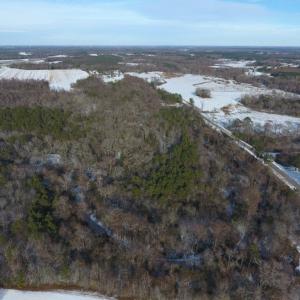 Photo of UNDER CONTRACT!  25.25 Acres of Creek Front Hunting Land For Sale in Edgecombe County NC!