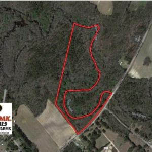 Photo of UNDER CONTRACT!  25.25 Acres of Creek Front Hunting Land For Sale in Edgecombe County NC!