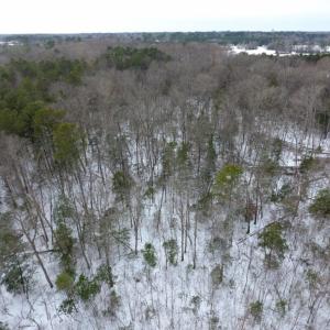 Photo of UNDER CONTRACT!  26.89 Acres of Residential and Timber Land For Sale in Edgecombe County NC!