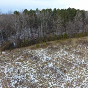 Photo of UNDER CONTRACT!  26.89 Acres of Residential and Timber Land For Sale in Edgecombe County NC!