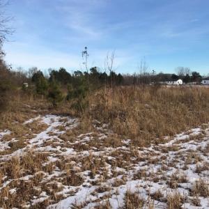 Photo of UNDER CONTRACT!  26.89 Acres of Residential and Timber Land For Sale in Edgecombe County NC!
