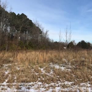 Photo of UNDER CONTRACT!  26.89 Acres of Residential and Timber Land For Sale in Edgecombe County NC!