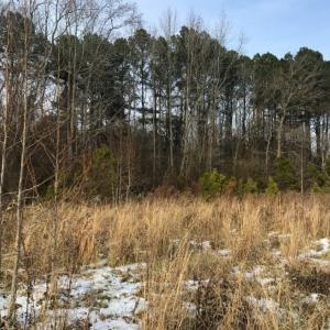 Photo of UNDER CONTRACT!  26.89 Acres of Residential and Timber Land For Sale in Edgecombe County NC!
