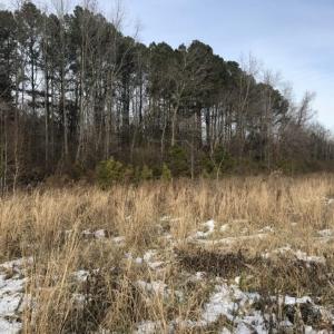 Photo of UNDER CONTRACT!  26.89 Acres of Residential and Timber Land For Sale in Edgecombe County NC!