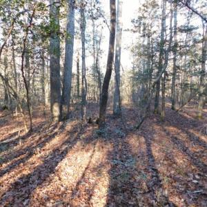 Photo of UNDER CONTRACT!  26.89 Acres of Residential and Timber Land For Sale in Edgecombe County NC!