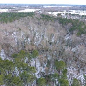Photo of UNDER CONTRACT!  26.89 Acres of Residential and Timber Land For Sale in Edgecombe County NC!