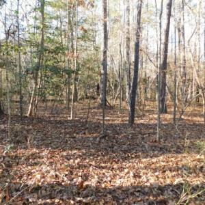 Photo of UNDER CONTRACT!  26.89 Acres of Residential and Timber Land For Sale in Edgecombe County NC!
