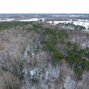 Photo of UNDER CONTRACT!  26.89 Acres of Residential and Timber Land For Sale in Edgecombe County NC!