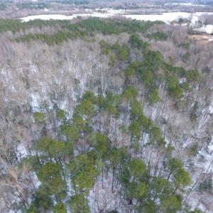 Photo of UNDER CONTRACT!  26.89 Acres of Residential and Timber Land For Sale in Edgecombe County NC!