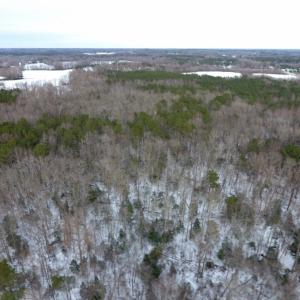 Photo of UNDER CONTRACT!  26.89 Acres of Residential and Timber Land For Sale in Edgecombe County NC!