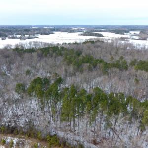 Photo of UNDER CONTRACT!  26.89 Acres of Residential and Timber Land For Sale in Edgecombe County NC!