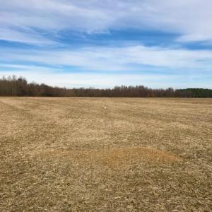 Photo of UNDER CONTRACT!  62.5 Acres of Farm and Timber Land For Sale in Wayne County NC!