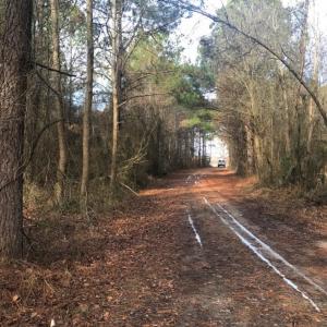 Photo of UNDER CONTRACT!  62.5 Acres of Farm and Timber Land For Sale in Wayne County NC!