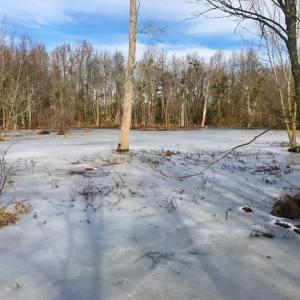 Photo of UNDER CONTRACT!  62.5 Acres of Farm and Timber Land For Sale in Wayne County NC!